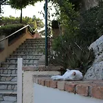 Zefiros Traditional Hotel Paleokastritsa
