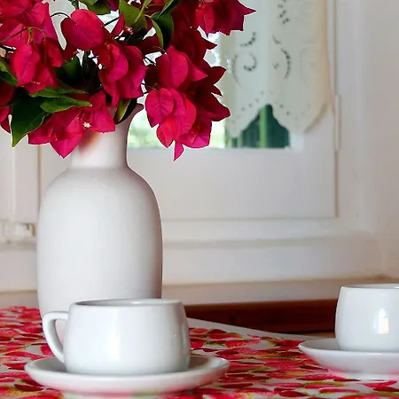 Zefiros Traditional 3*